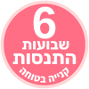 <strong>6 שבועות ניסיון מלאים</strong>